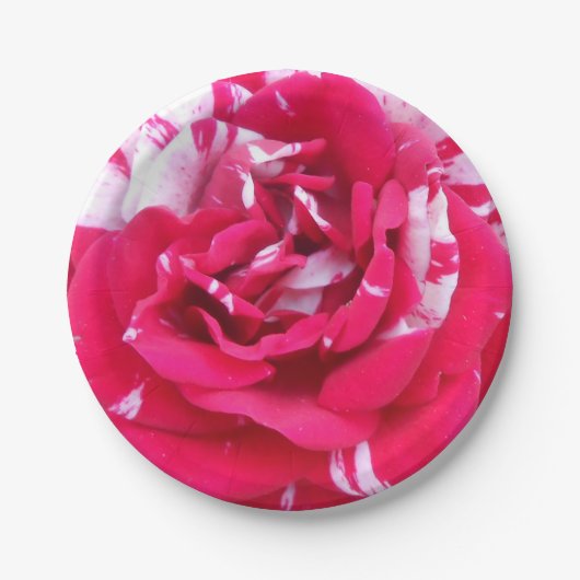 Anicia Papieren Bordje (Voorkant)