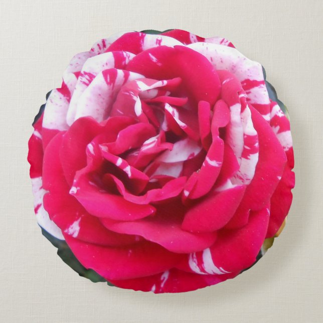 Anicia Rond Kussen (Voorkant)