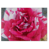 Anicia Snijplank (Voorkant)