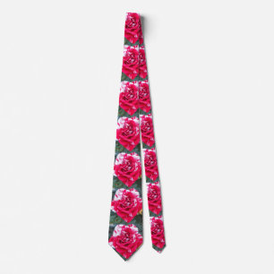 Anicia Stropdas
