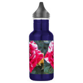 Anicia Waterfles (Links)