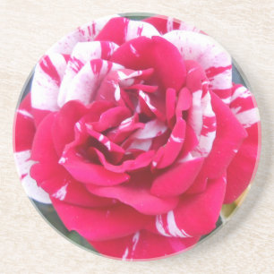 Anicia Zandsteen Onderzetter