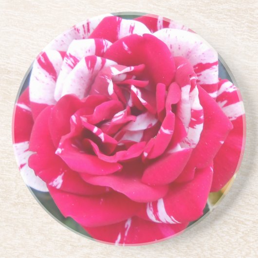 Anicia Zandsteen Onderzetter (Voorkant)