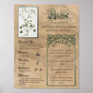 Anijs Kruidige Book of Shadows Pagan Wiccan Poster