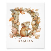 Animal Alphabet Letter D Kids Name Mouse Poster (Devant)