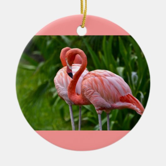 Animal Bird American Flamingo Ornament (Voorkant)