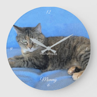 animal chat félin chaud amour bébé grande horloge