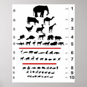 Animal Eye Chart Poster