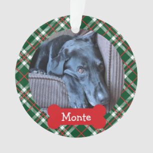 Animal familier 2 de plaid d'ornement de vacances