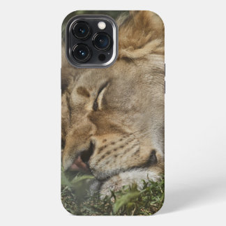 Animal Hoesje-Mate iPhone case 13 Pro Max Hoesje