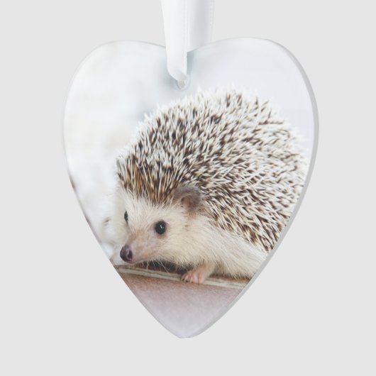 Animal mignon de hérisson de bébé (devant)