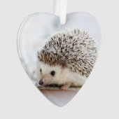 Animal mignon de hérisson de bébé (devant)