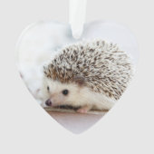 Animal mignon de hérisson de bébé (dos)