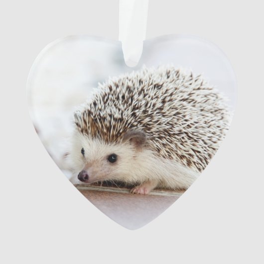 Animal mignon de hérisson de bébé (dos)