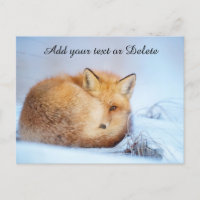 *~* Animal Red Fox Ap18 Wildlife past Artsy aan 