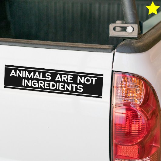 Animal Rights Phrase Vegan Vegetarian Saying Bumpersticker