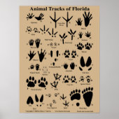Animal Tracks of Florida Poster (medium) (Voorkant)
