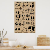 Animal Tracks van Florida 24x36 Poster (Keuken)