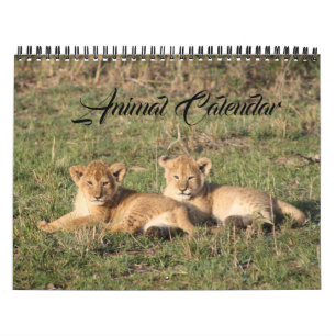 Animal Wild Life Kantoor Home Destiny's Destiny Kalender