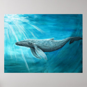 AnimalABC "Blauwal" Poster