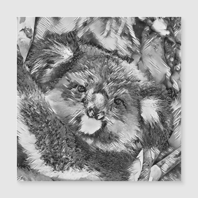 AnimalArtBW_Koala_001 (Voorkant)