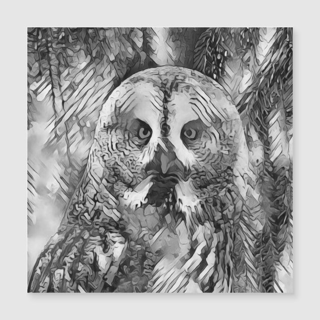 AnimalArtBW_Owl_001 (Voorkant)