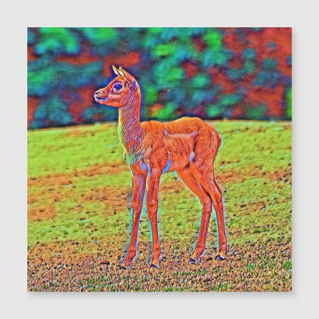 AnimalColor_Antilope_001 (Voorkant)