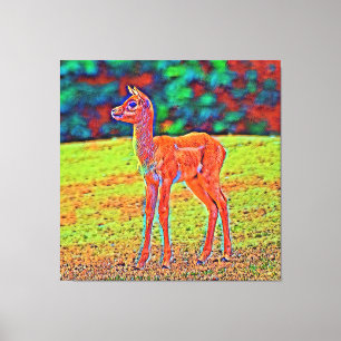 AnimalColor_Antilope_001 Canvas Afdruk