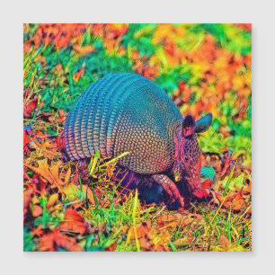 AnimalColor_Armadillo_001