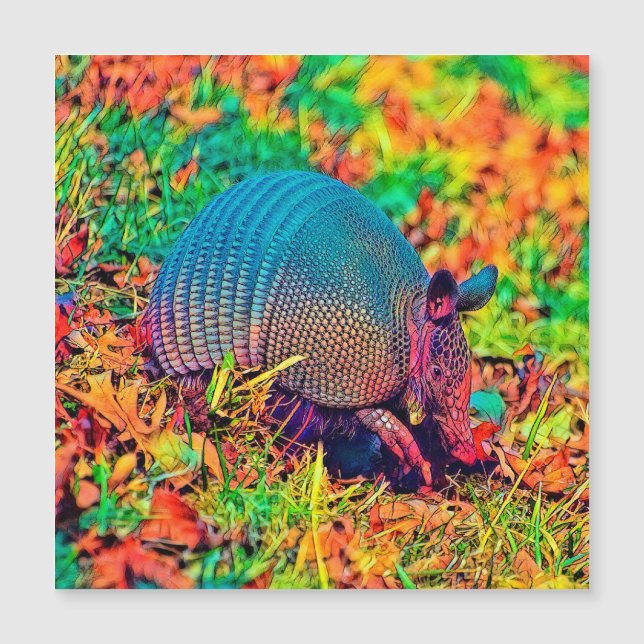 AnimalColor_Armadillo_001 (Voorkant)