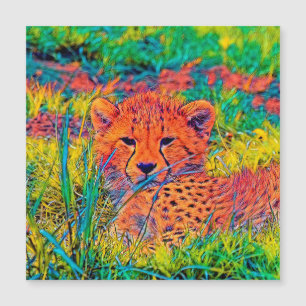 AnimalColor_Cheetah_017