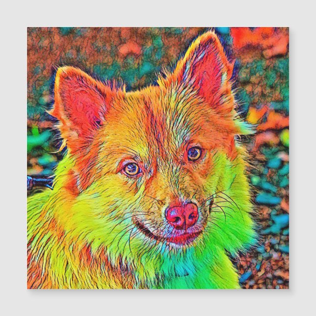AnimalColor_Dog_020 (Voorkant)