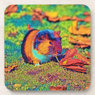 AnimalColor_Guineapig_001 Bier Onderzetter