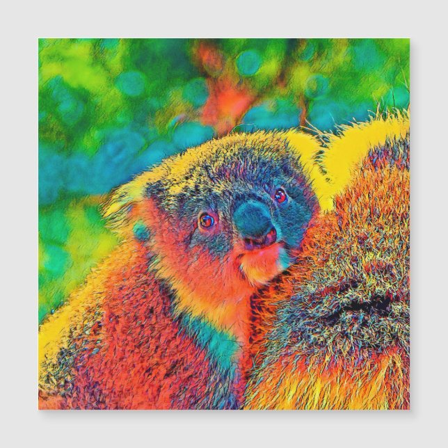 AnimalColor_Koala_001 (Voorkant)