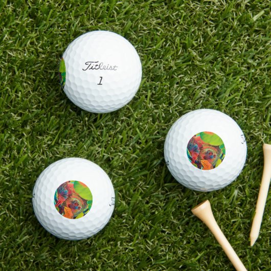 AnimalColor_Sloth_001 Golfballen (Insitu Gras)