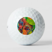 AnimalColor_Sloth_001 Golfballen (Voorkant)
