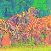 AnimalColor_Zebra_002 Sticker (Voorkant)