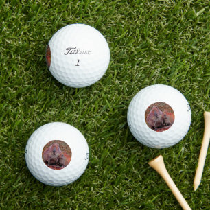 AnimalMix_Capybara_003 Golfballen