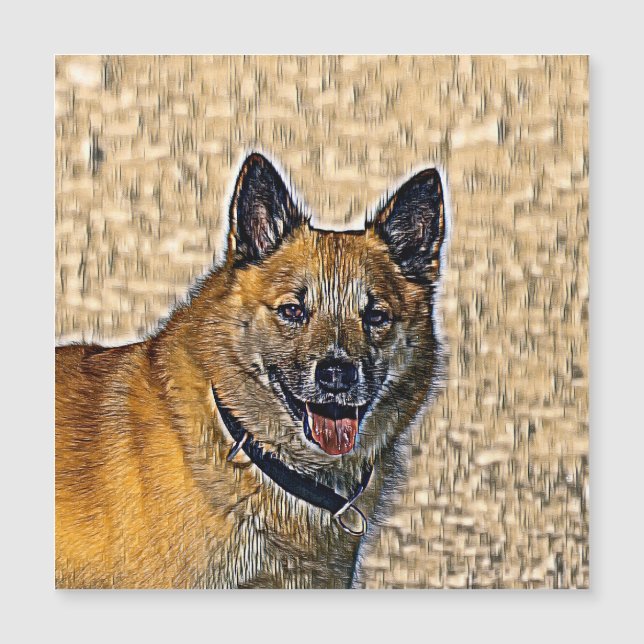 AnimalMix_Dog_004 (Voorkant)