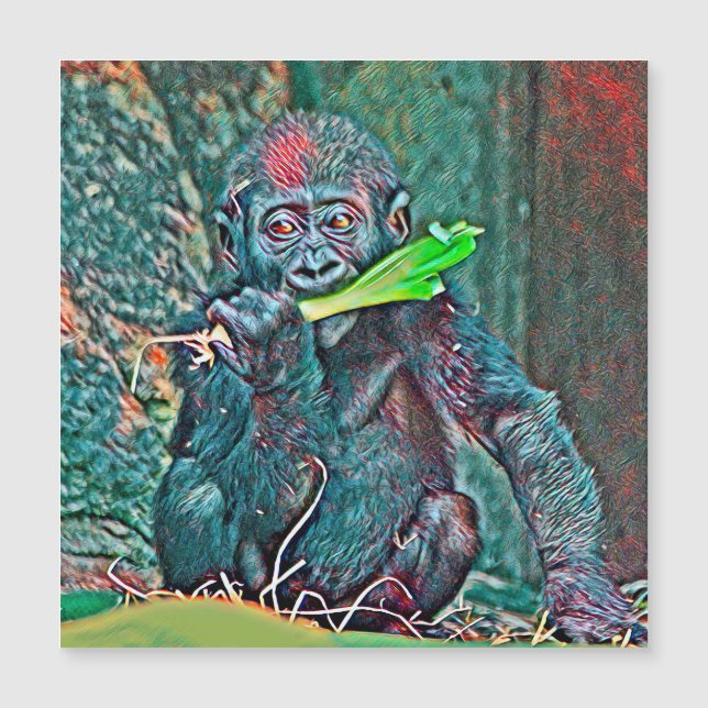 AnimalMix_Gorilla_005 (Voorkant)