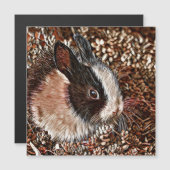 AnimalMix_Konijn_005 (Voorkant / Achterkant)