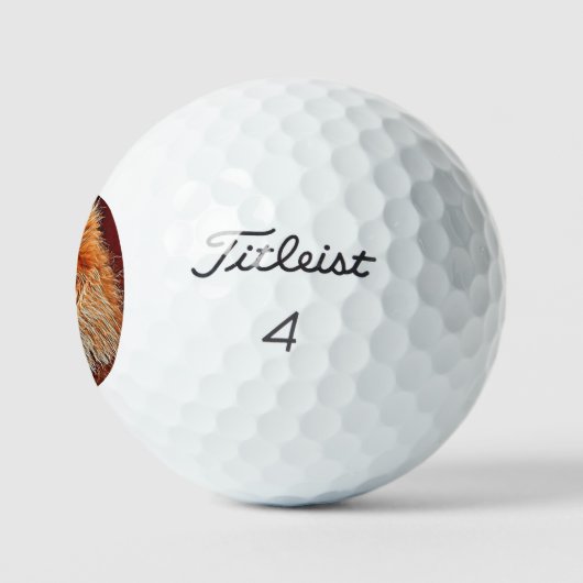AnimalMix_Lion_009 Golfballen (Logo)