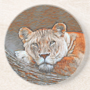 AnimalMix_Lion_022 Zandsteen Onderzetter