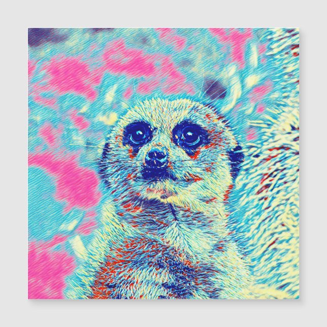 AnimalMix_Meerkat_008 (Voorkant)