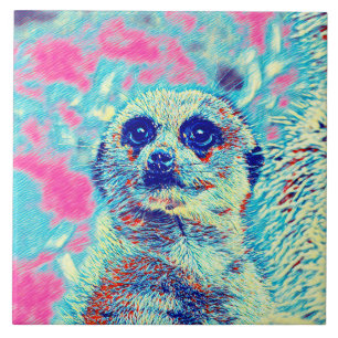 AnimalMix_Meerkat_008 Tegeltje