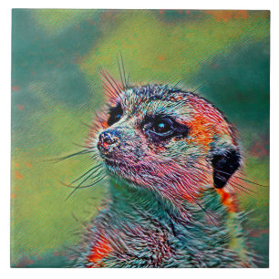 AnimalMix_Meerkat_009 Tegeltje