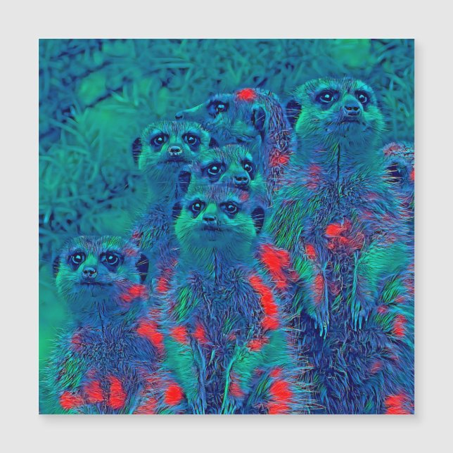 AnimalMix_Meerkat_015 (Voorkant)
