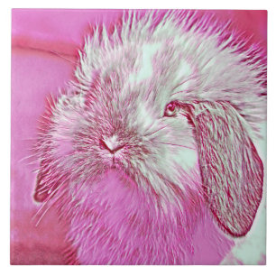 AnimalMix_Rabbit_008 Tegeltje