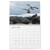 animals and birds of Galapagos Kalender (Jan 2026)