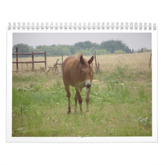 Animals Calander Kalender